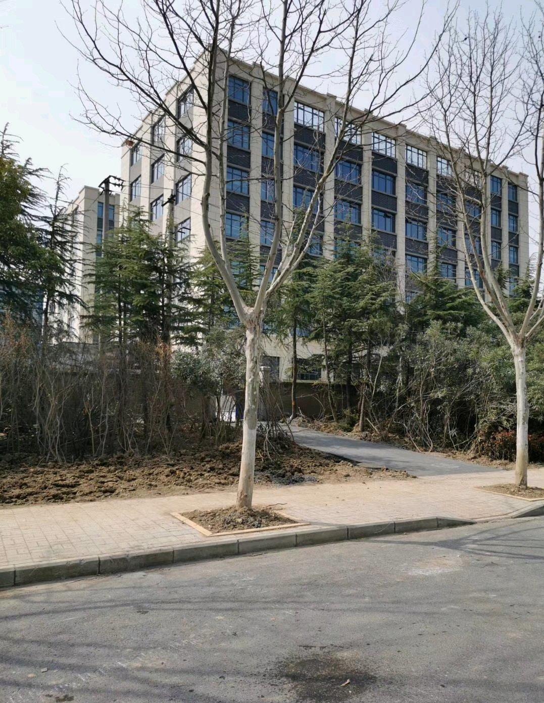 陶冲湖两栋综合楼新房