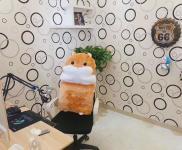 蜀山区精装适合传媒行业