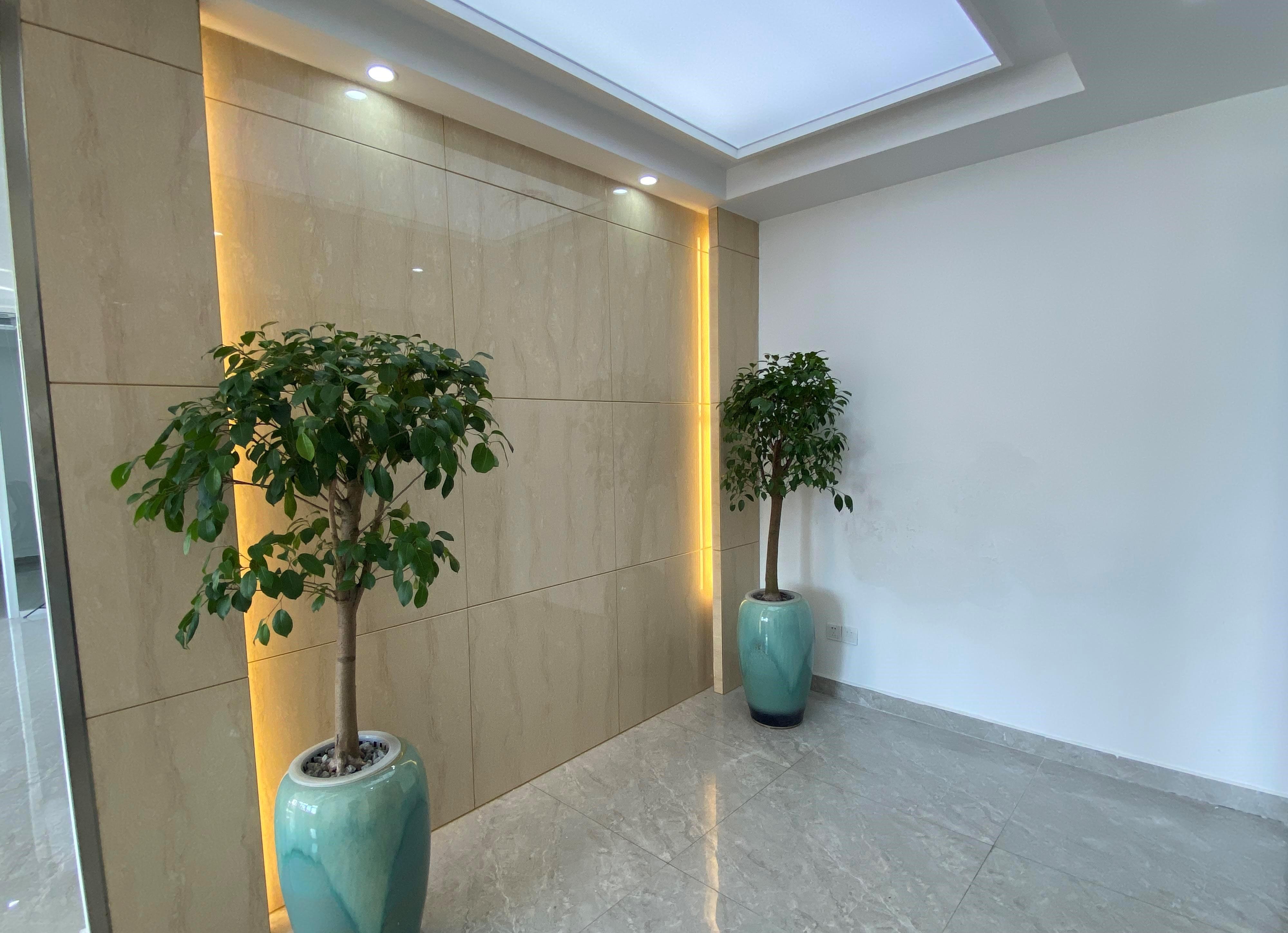 经开区精装带家具