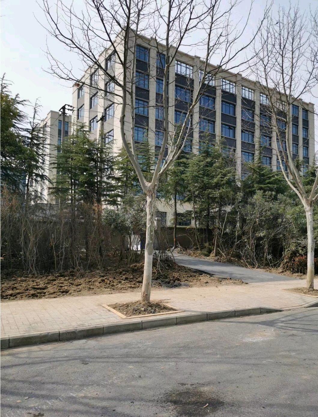 新站区独栋可自由分割