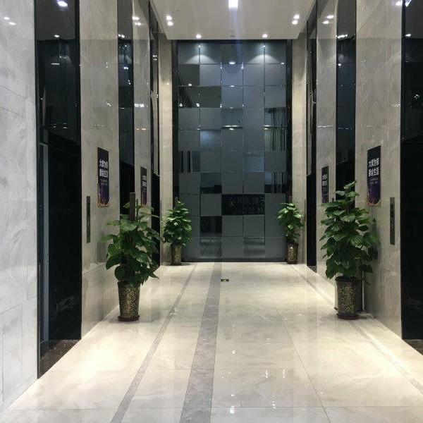 政务区精装高楼层视野好