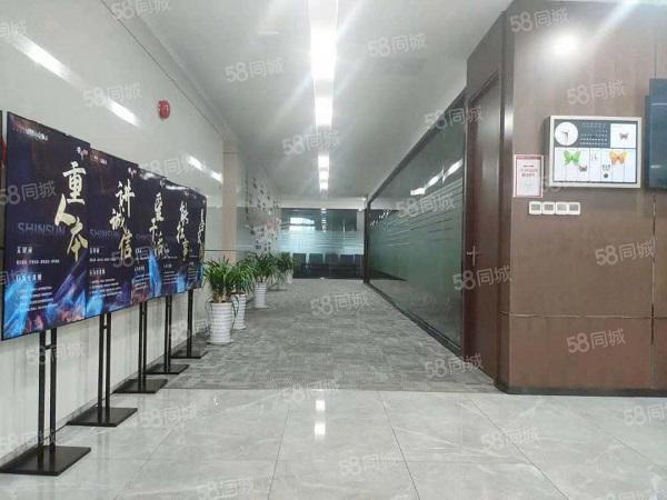 政务区精装大面积拎包办公